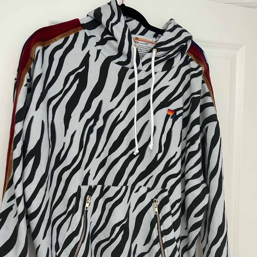 Aviator Nation Zebra Stripe Hoodie with Multicolor Accents
